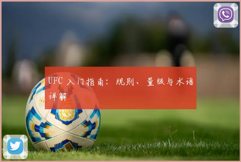 UFC 入门指南:规则、量级与术语详解