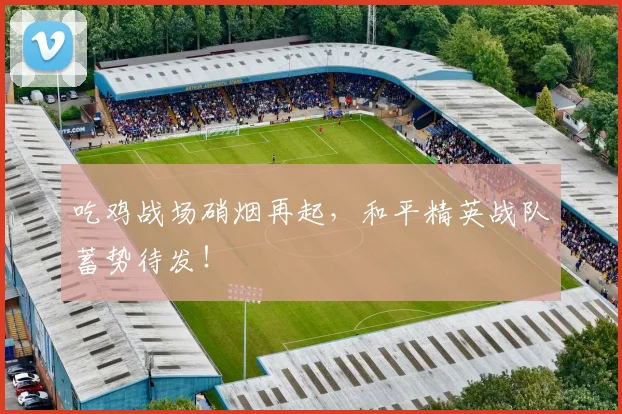 吃鸡战场硝烟再起，和平精英战队蓄势待发！