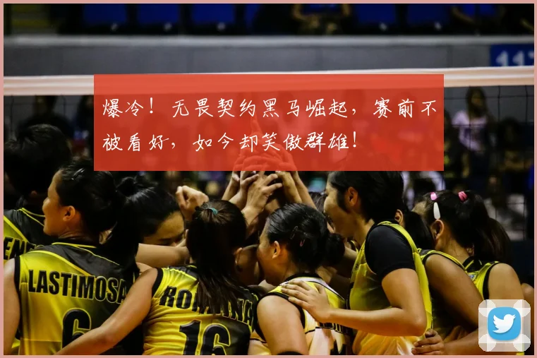 爆冷!无畏契约黑马崛起,赛前不被看好,如今却笑傲群雄!