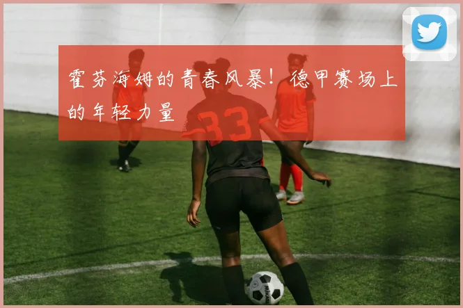 霍芬海姆的青春风暴!德甲赛场上的年轻力量