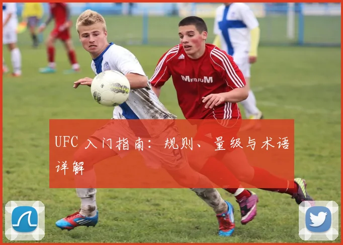 UFC 入门指南：规则、量级与术语详解